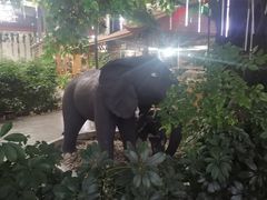 -君临七星生态酒店