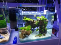 -王四营海鲜市场