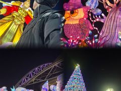 -沈阳奥体冰雪嘉年华