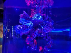 -大连圣亚海洋世界