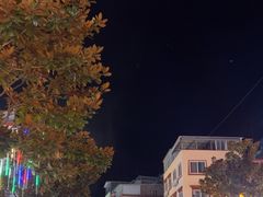 -金鼎雪山牦牛杂火锅(理县总店)