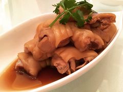 -东海朗廷酒店-唐阁T’ANG COURT 中餐厅