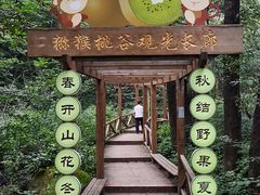 -大岭沟猕猴桃谷风景区