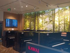 -柏斯琴行(汾阳店)