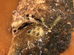 -阿五黄河大鲤鱼(纬三路店)