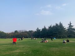 -青枫公园