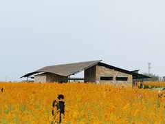 -三圣花乡旅游区