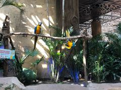 -杭州开元森泊度假乐园