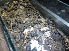 -欢乐牧场海鲜烤肉自助(牡丹园店)