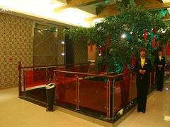 -自助火锅筷乐食代自助餐厅(金辰店)