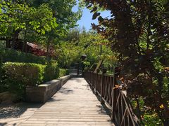 -金石唐风国际温泉会馆