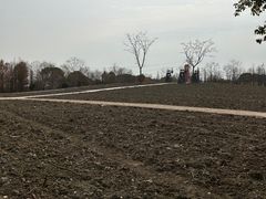-同里国家湿地公园