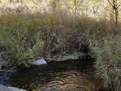 -碓臼峪自然风景区