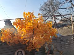 -16毫米咖啡&酒吧(南锣鼓巷店)