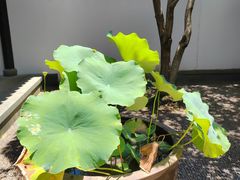 -孔氏南宗家庙