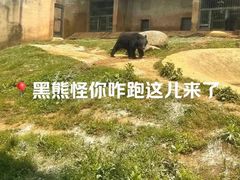 -上方山森林动物世界