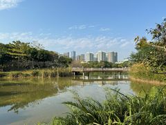 -福田红树林生态公园