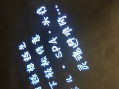-施奈儿.洗头頭療.按摩SPA.采耳(上梅林店)