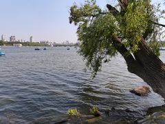 -长春市南湖公园