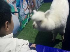 -重庆欢乐海底世界