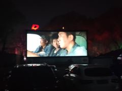 -枫花园汽车电影院(朝阳公园店)