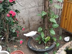 -上海大自然野生昆虫馆(东方明珠·爬宠昆虫探索中心)