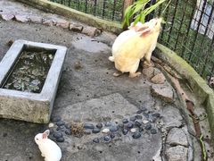 -上海滴水湖皇冠假日酒店