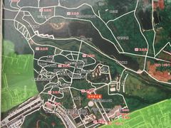 -广西壮族自治区药用植物园