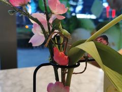 -哈根达斯(西安高新店)