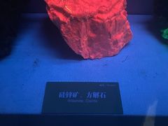 -湖南省地质博物馆