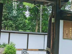 -新洲生态园