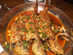 -吴满满油泼面(北方风味园店)