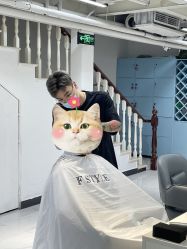 -飞梵造型