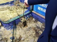 -青蓬蒸汽海鲜·深圳老字号·团建聚会(壹方城店)