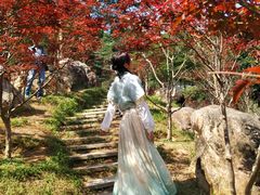 -广州市帽峰山景区
