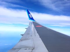 -全日本空输株式会社(上海办事处)
