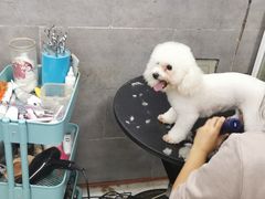 -萌萌喵宠物(百水芊城阅水坊店)