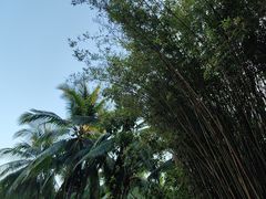 -三亚湾海居铂尔曼度假酒店