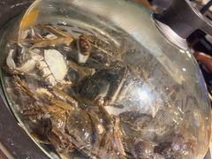 -蓝珊甄选海鲜自助·火锅大排档(近阿那亚店)