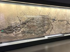 -贵州省地质博物馆