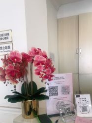 -丽都整形美容医院·全国连锁旗舰店