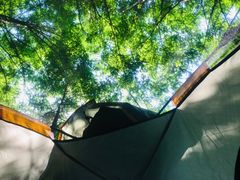 -桤木河湿地公园