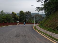 -黄埔油麻山森林公园