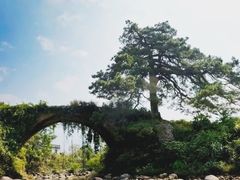 -仙霞关景区