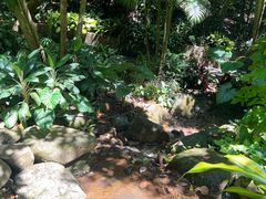 -海南白石岭旅游区