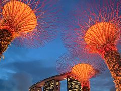 -新加坡万豪董厦酒店