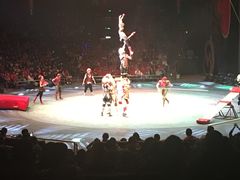 -珠海横琴长隆《卡卡虎奇遇记》