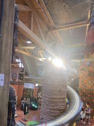 -卡通尼·Safari非洲探索乐园·生日会(金桥国际商业广场店)