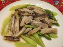 -新光酒家·河豚·海鲜·蟹料理(浦东店)