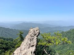 -王顺山国家森林公园